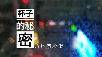 甘肃饭店爆料视频大全集,揭秘幕后真相与行业内幕